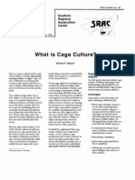 What Is Cage Culture?