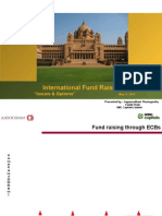 International Fund Raising: "Issues & Options"