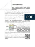 Matriz Extracelular