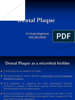 Dental Plaque