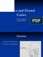 Saliva and Dental Caries