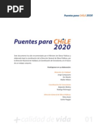 Puentes 2020