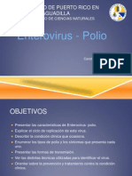 Microbiologia Clinica - Presentacion Power Point Enterovirus Polio