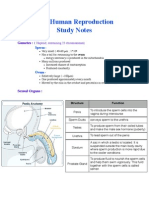 B13 Human Reproduction Study Notes 2.4.12