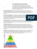 Teoria de Las Necesidades