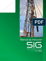 Manual de Induccion SIG