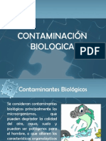 Contaminacion Biologica