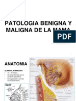 16.patología Benigna y Maligna de La Mama