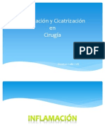 Inflamacion y Cicatrizacion