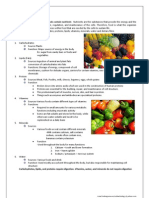 IGCSE Biology Digestive System