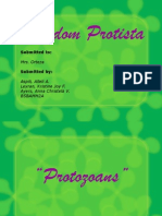 Kingdom Protista: Submitted To