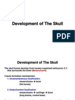 Development of The Skull E-Learning