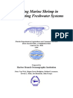 Farming Marine Shrimp in Recirculating Freshwater Systems