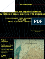 Tejido Adiposo PPT 2012 Actualizado