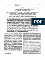 A Truncated Intracellular HER2neu Receptor Produced by Alternative RNA Processing Affects Growth of Human Carcinoma Cells