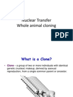 Nuclear Transfer Whole Animal Cloning