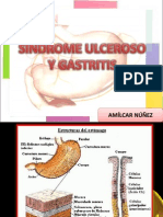 Sindrome Ulceroso y Gastritis