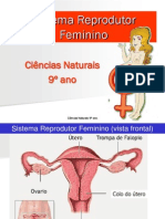 9 PPT Prof 4 Sreprodutorfeminino