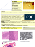 Sarcocystis Suihominis