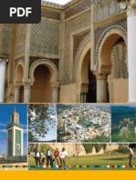 Guide Meknes