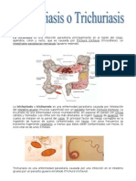 Promotoria de La Salud