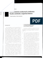 Neuroanatomía Conductual y Síndromes Focales Cerebrales: Esquemas Básicos