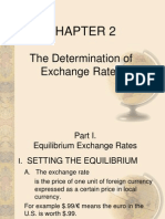 The Determination of Exchange Rates