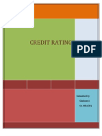 Credit Rating: Submitted by Shahnas A S4, MBA (IB)