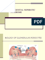 Congenital Nephrotic Syndrome