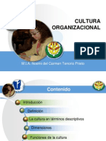 Cultura Organizacional