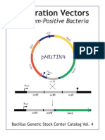 Integration Vectors For Gram Possitive