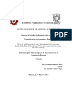 Acupuntura y Sistema Inmunológico Puntos E36, V20 y V23