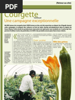 Courgette