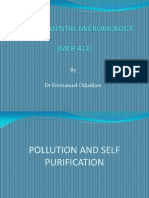 Pollution and Self - Purification