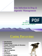 Parvo Virus