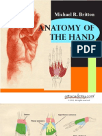 Anatomy of The Hand