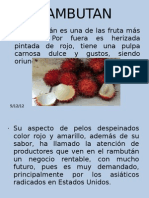 Presentacion de Rambutan