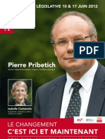 Pierre Pribetich, Le Changement C'est Ici Et Maintenant