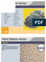 Paint Defects