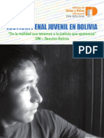 DNI Bolivia - Justicia Penal Juvenil en Bolivia