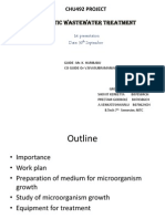 Domestic Waste Water Treatment PP