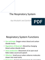 The Respiratory System