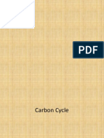 Carbon and Nitrogen Cycle