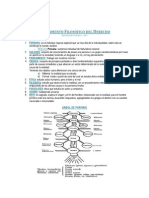 Fundamento Filosfico Del Derecho 2011