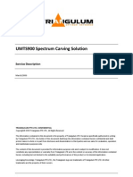 UMTS900 Spectrum Carving Solution