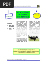 Estrategias de Manejo Del Ternero