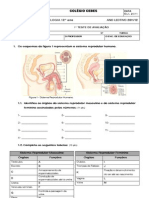 1º Teste de Avaliação