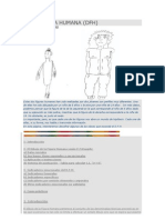 Test Figura Humana Koppitz