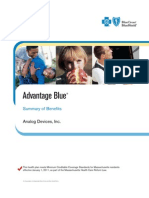 Advantage Blue: Summary of Benefits