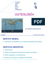 OSTEOLOGIA